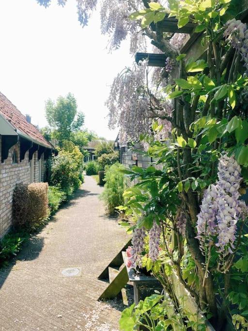 Uniek Vakantieverblijf Den Burg Exterior foto